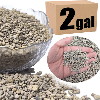 MDPQT Organic Pumice 2-gallon bag enhances drainage for bonsai and pots.