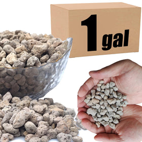 MDPQT Organic Pumice close-up showing porous texture for moisture control in bonsai.