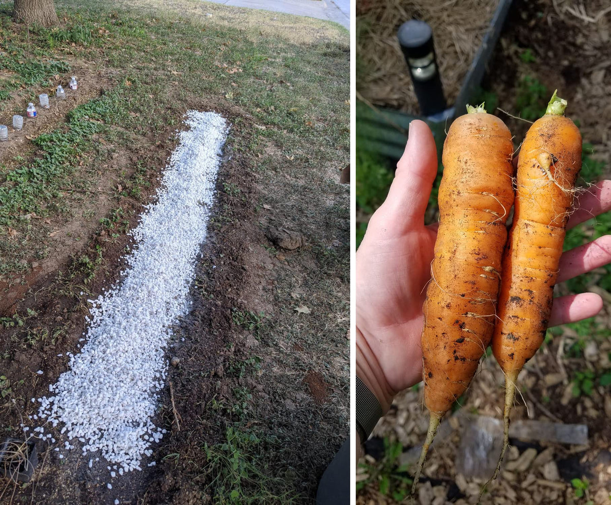 MDPQT perlite container-mix application for preventing soil compaction