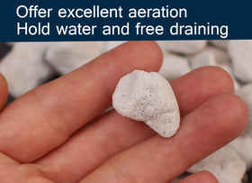 MDPQT perlite granules in pots promote soil drainage and aeration