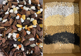 MDPQT perlite in potting mix enhances drainage and root space