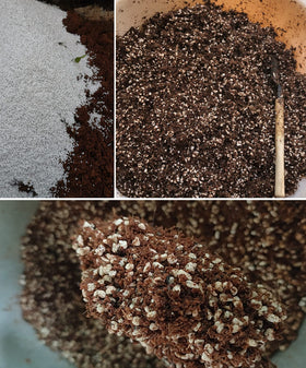 MDPQT perlite for raised beds shows easy-to-handle soil amendment