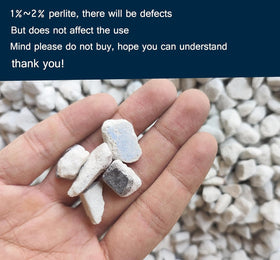 MDPQT perlite visible particles promote aeration and drainage