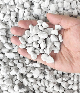 MDPQT vermiculite and perlite 50qt professional pack improves soil aeration