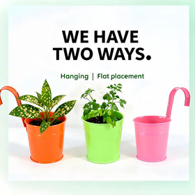 MeCids indoor or outdoor planter for flexible placement