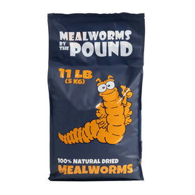 Mealworms by the Pound MBTP bulk dried mealworms front label for natural poultry treats.