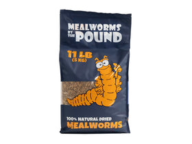 Mealworms by the Pound MBTP bulk dried mealworms in a feeder, protein-rich snack.
