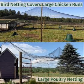 MEANCHEN heavy-duty poultry netting unfurled over garden beds for fruit protection.
