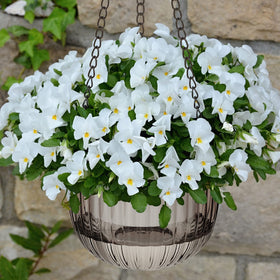 Meanplan four-piece pack for space-saving plant displays