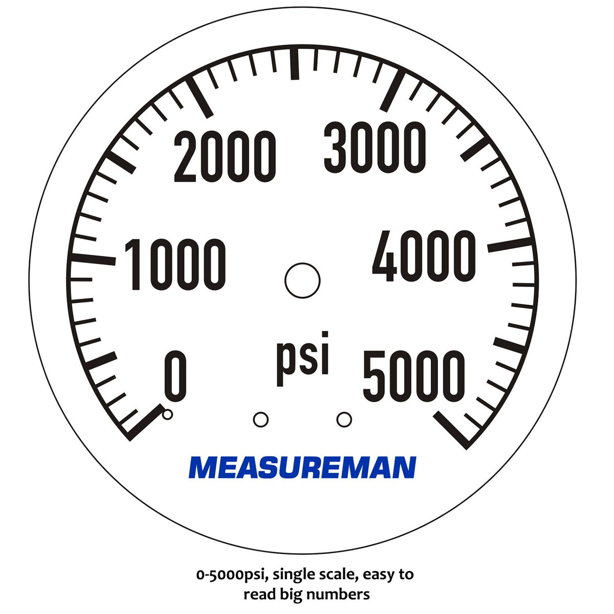 Measureman glycerin-filled gauge image highlighting dampened pulsations
