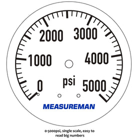 Measureman glycerin-filled gauge image highlighting dampened pulsations