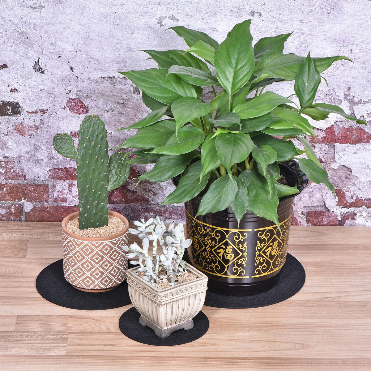 MECCANIXITY Plant Coasters are 3mm thick and protect surfaces from moisture.