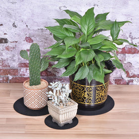 MECCANIXITY Plant Coasters are 3mm thick and protect surfaces from moisture.