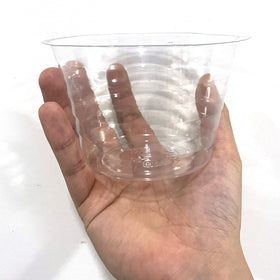 Meccanixity 5-inch saucers suit indoor and outdoor blooms.