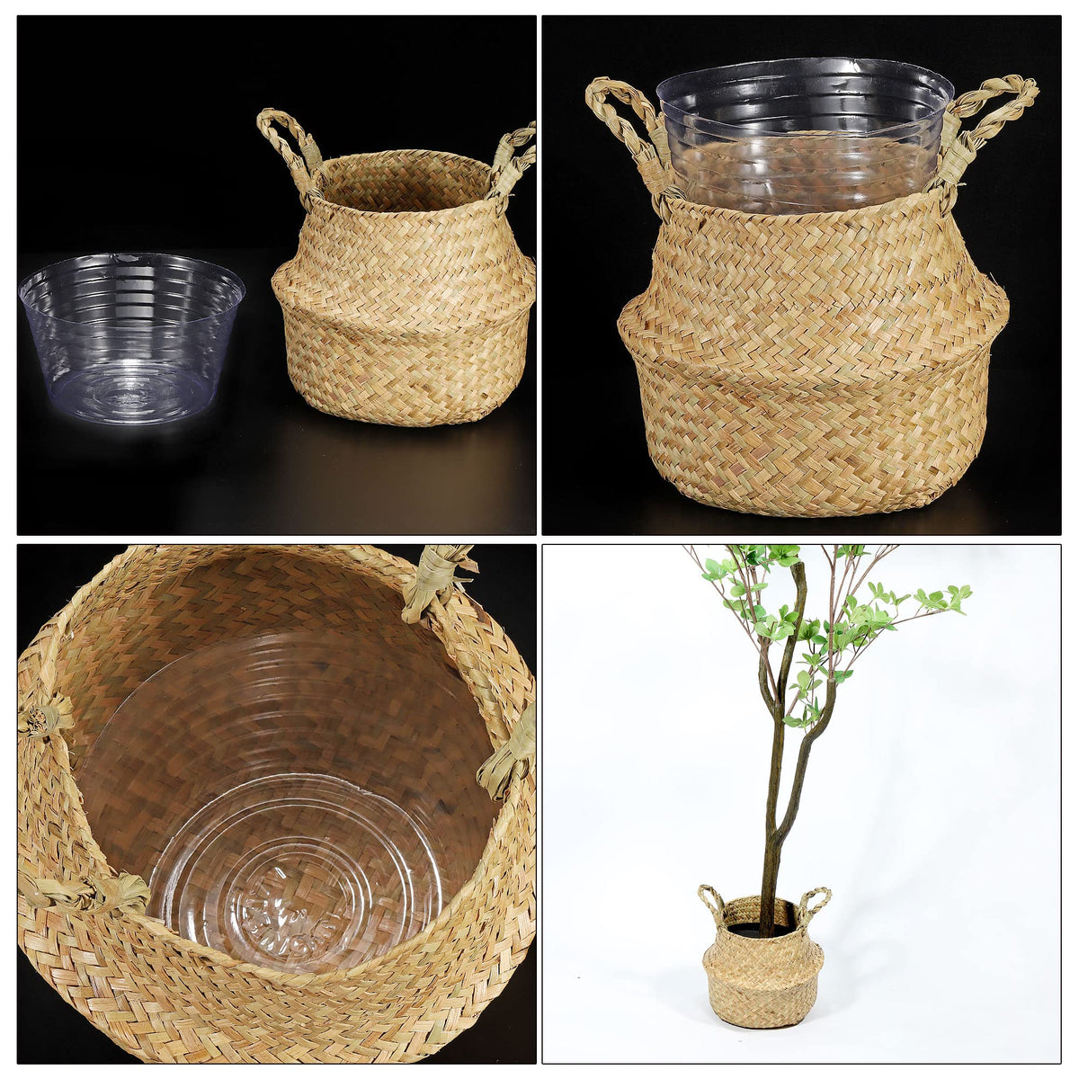 Meccanixity water-drainage saucer helps manage excess moisture after watering.