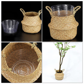 Meccanixity water-drainage saucer helps manage excess moisture after watering.