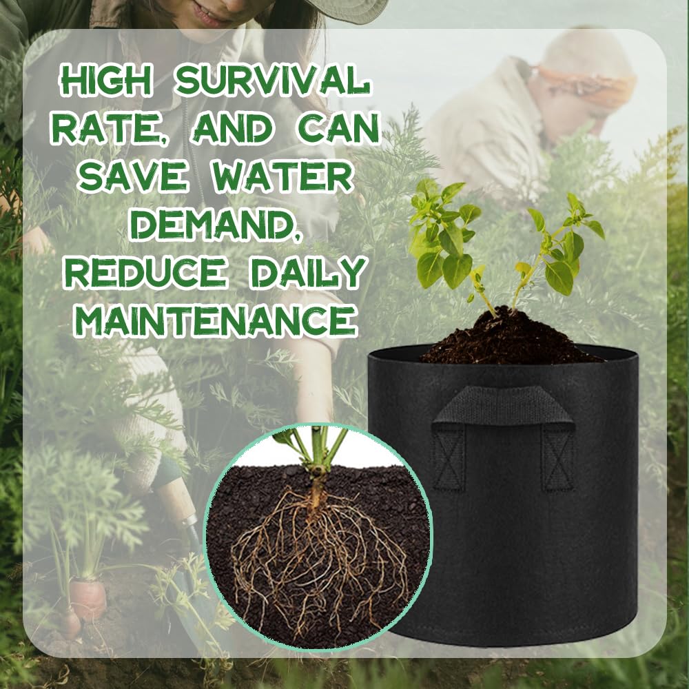 Meckerni 1-gallon pot size fits multiple plants.