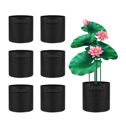 Meckerni lily pot for pond and 1 gallon set supports easy planting and reuse.