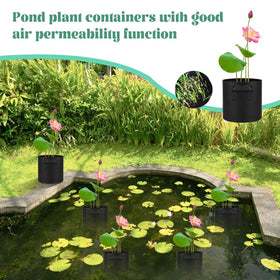 Meckerni water lily and lotus cultivation with versatile pots.
