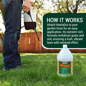 Medina HastaGro treated lawn showing vibrant healthy green color.