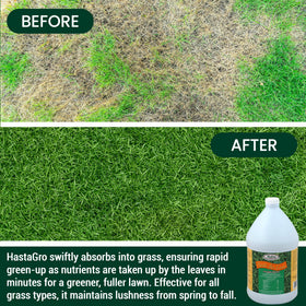 Medina HastaGro lawn spray being applied for even coverage.