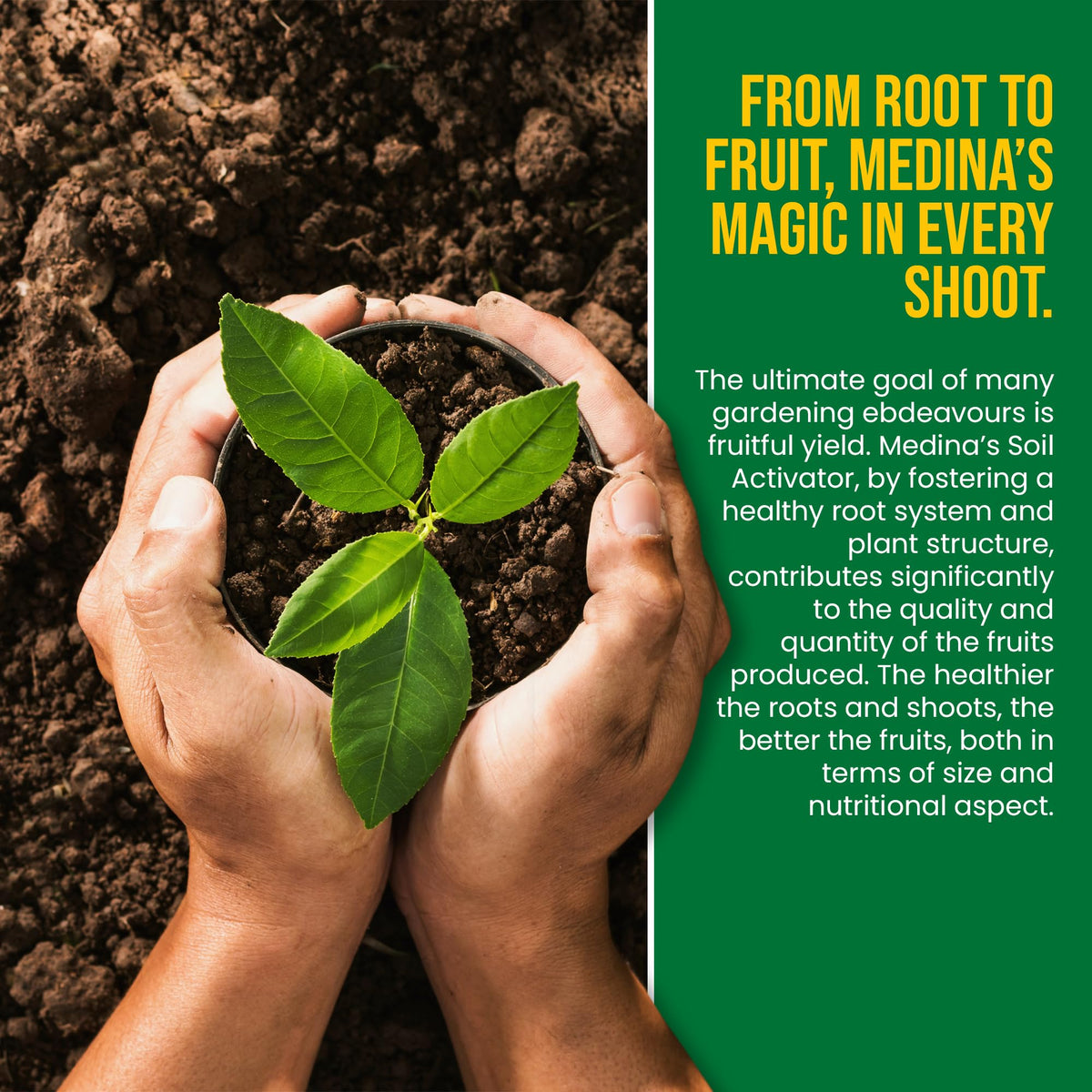 Medina Liquid Soil Activator soil loosening action helps roots spread in dense pots and beds