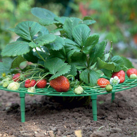 Medoore balcony vegetable rack helps keep potted plants tidy and organized