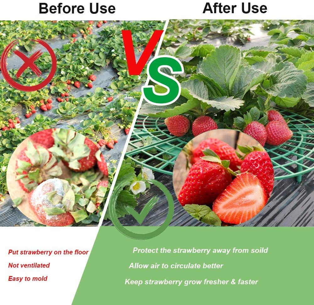 Medoore green plastic strawberry cage demonstrates durable, reusable construction