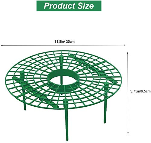 Medoore strawberry rack keeps fruit off soil to reduce moisture contact