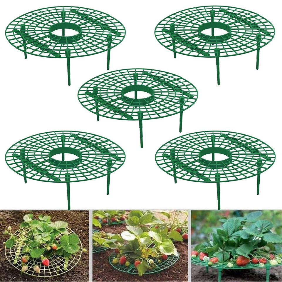 Medoore strawberry support 5pack elevates fruit for cleaner, drier harvest