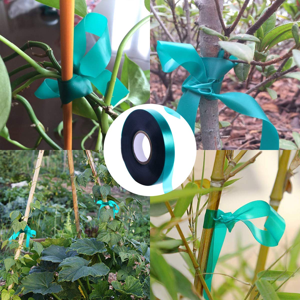 Medoore tape stretches with plant growth to protect stems during training.