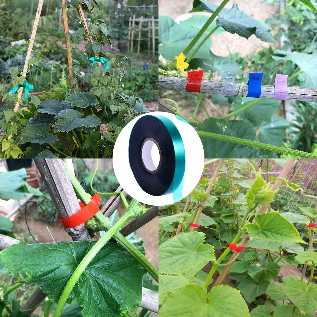 Medoore translucent non-sticky tape designed for gentle plant care.