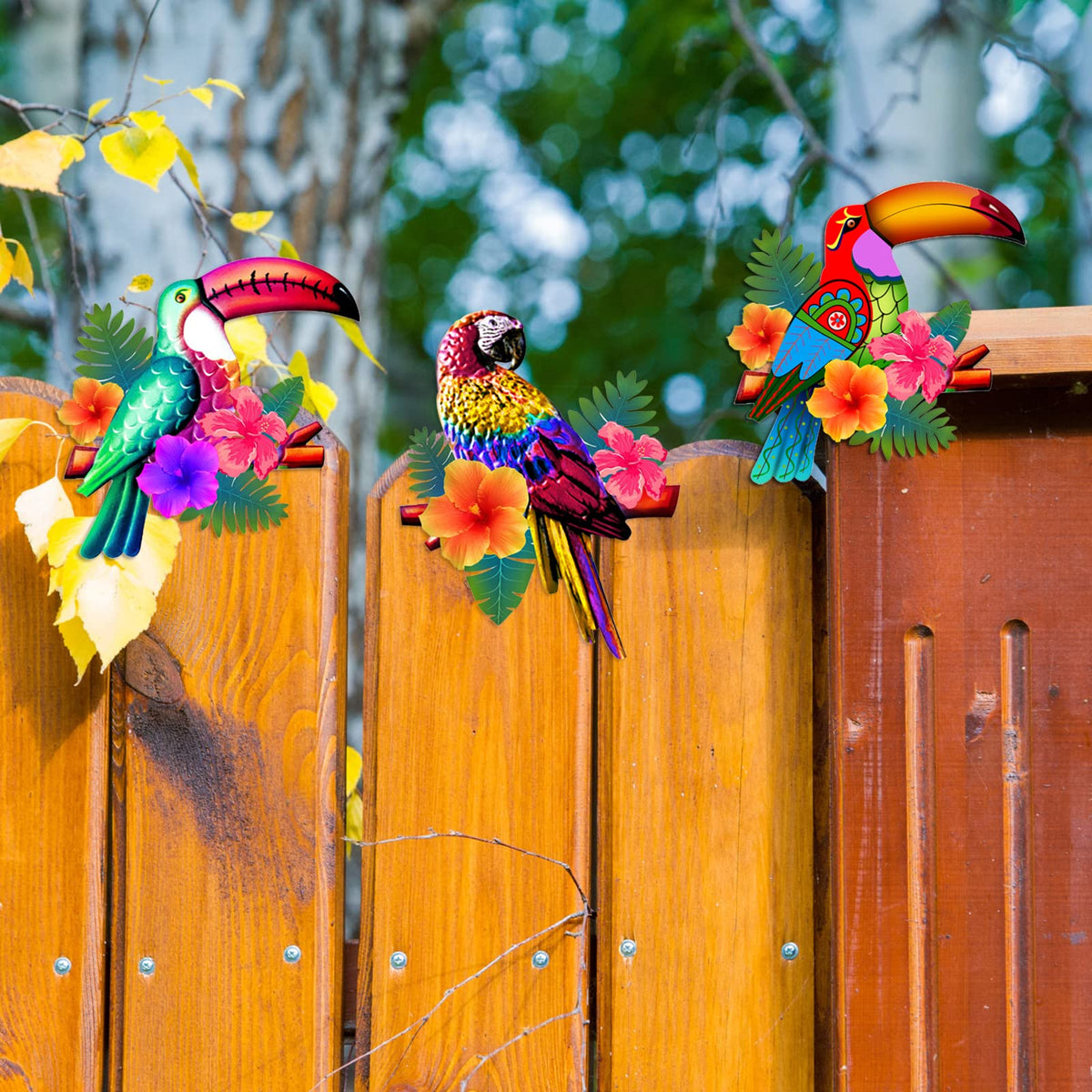 Meduofon colorful birds wall art showcases 3D details for indoor living spaces.