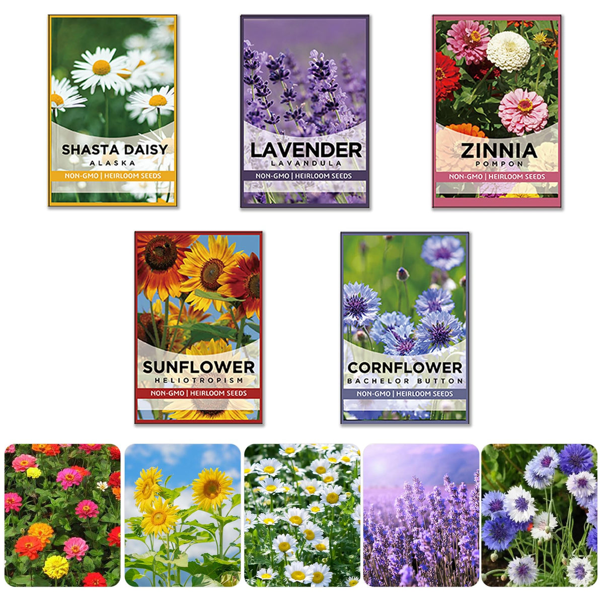 Meekear 5 Kit gift idea for garden lovers and DIY enthusiasts