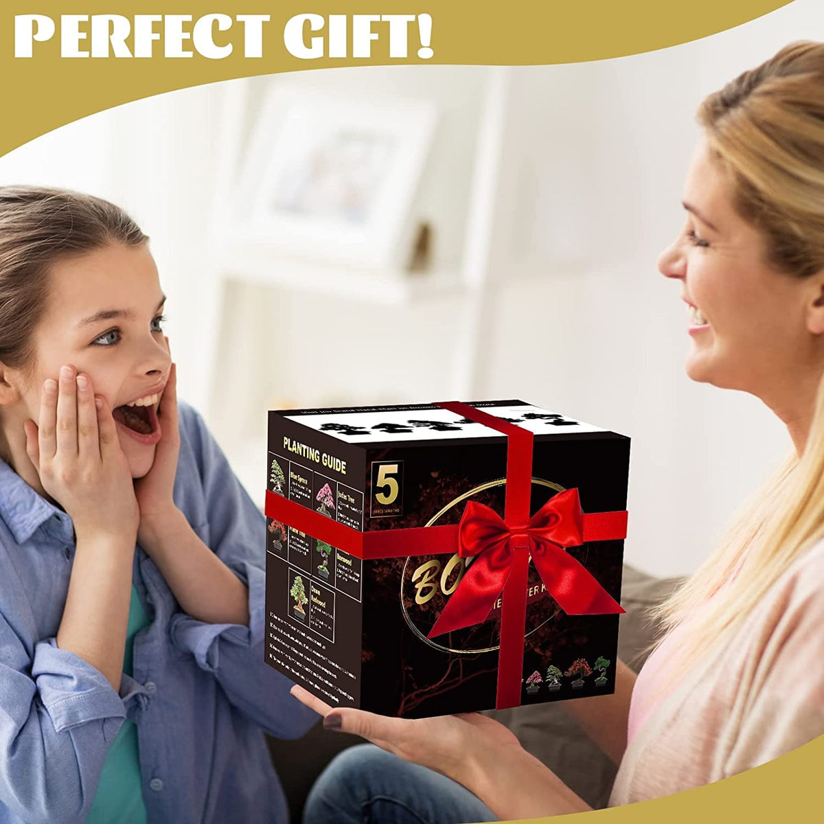 Meekear Bonsai Kit gift box ready for gifting