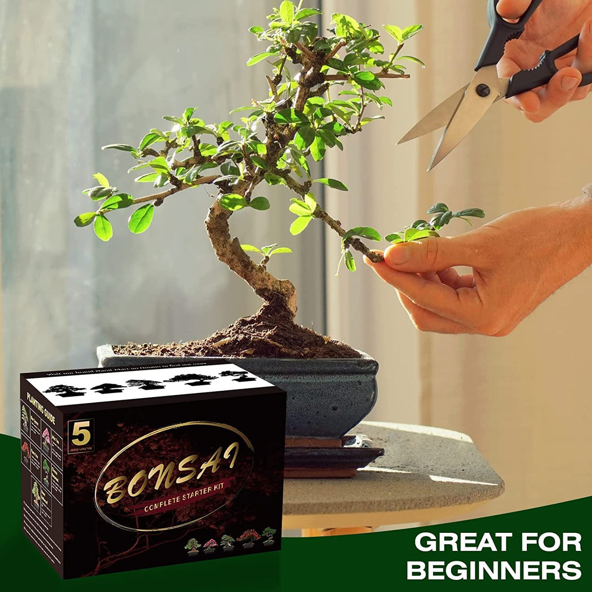 Meekear Bonsai Kit manual booklet with grow guidance