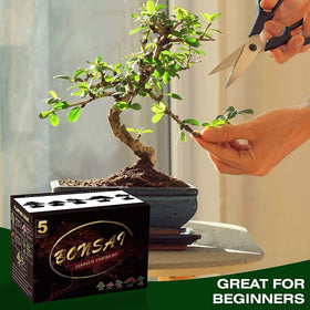 Meekear Bonsai Kit manual booklet with grow guidance