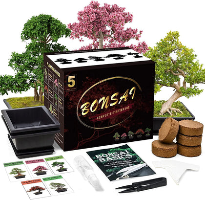 Meekear Bonsai Kit plastic pots for germination and moisture balance