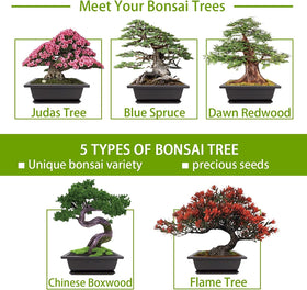 Meekear Bonsai Kit pruning tool for precise trims