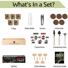 Meekear Bonsai Tree Kit components laid out for a complete DIY experience