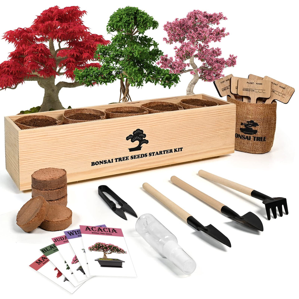 Meekear Bonsai Tree Kit packaging ready for a beginner-friendly setup