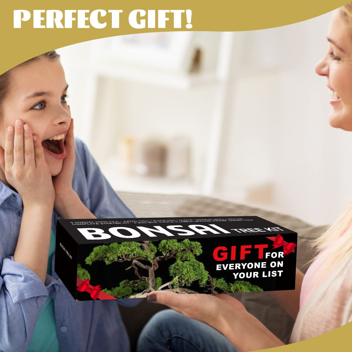 Meekear Bonsai Kit planter box providing stable germination space