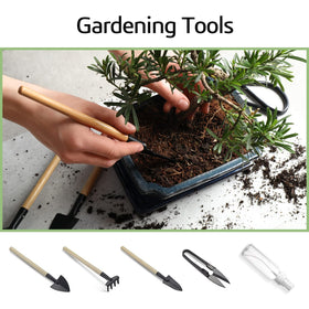 Meekear Bonsai Tree Kit water bottle supporting seedling care