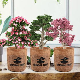 Meekear gift box presentation elevates housewarming or occasions.