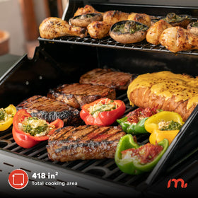 Megamaster Deluxe 2-Burner Grill cooking area ready for grilling a variety of foods