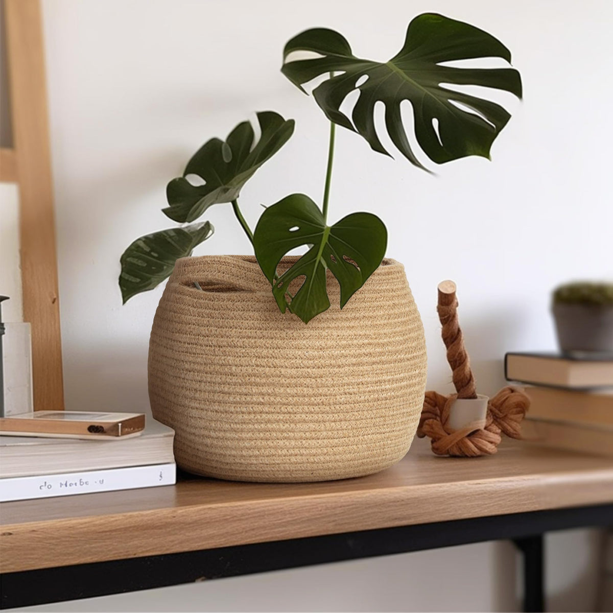 MEGASKET plant basket for small pots hides plastic containers and brightens spaces