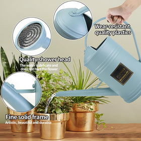 Megawodar glass plant mister with gradient colors; perfect for delicate misting of succulents.