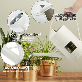 Megawodar watering can with detachable spray head for outdoor watering.