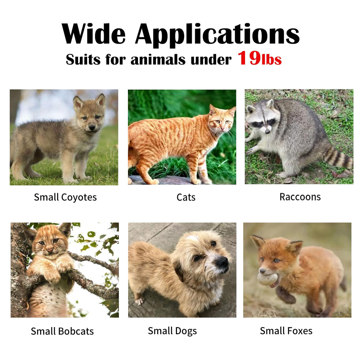 Trap developed by professional trappers for humane handling