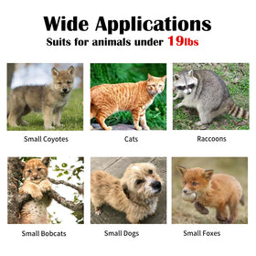 Trap developed by professional trappers for humane handling